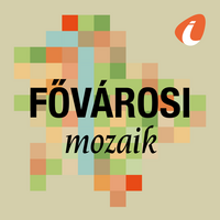 Fővárosi mozaik